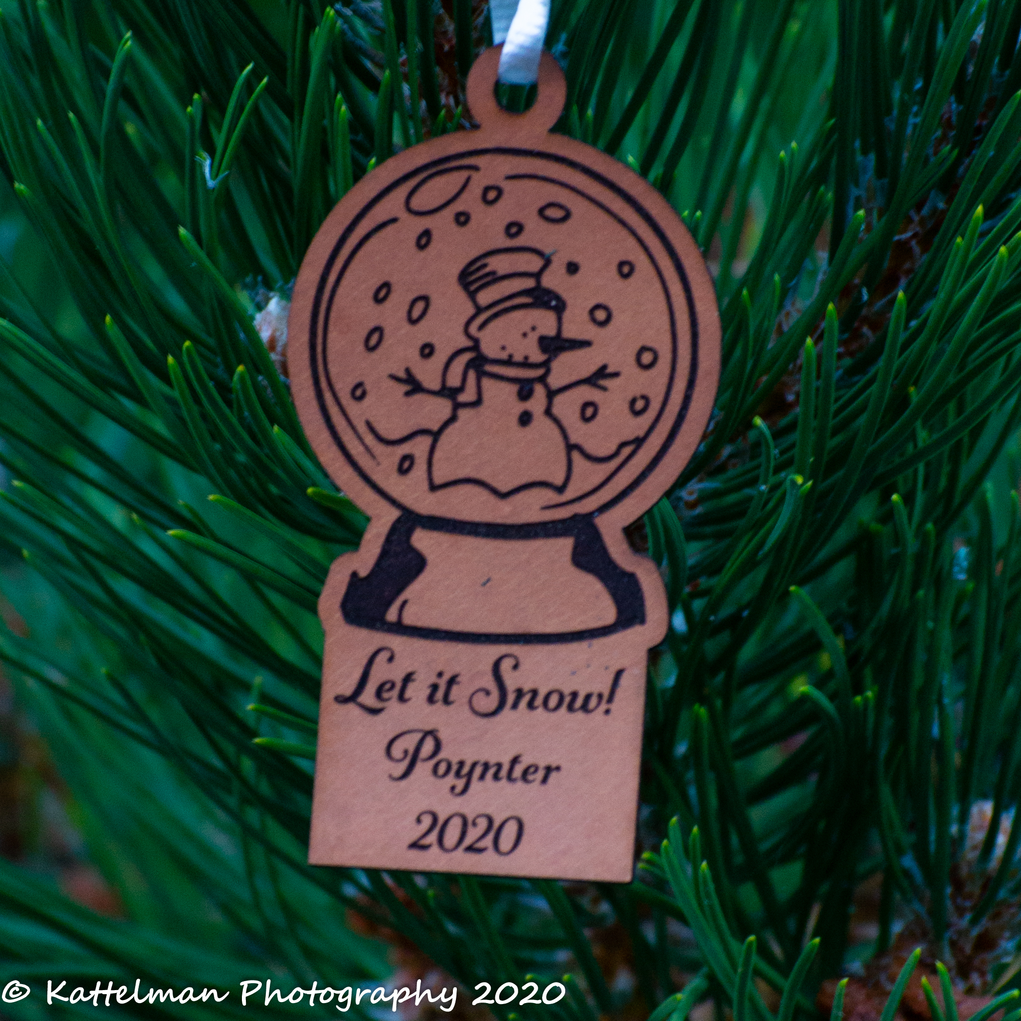 Snowglobe Ornament